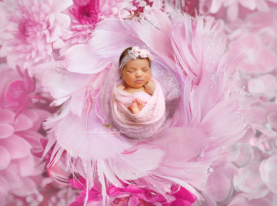 Pinkfeathers